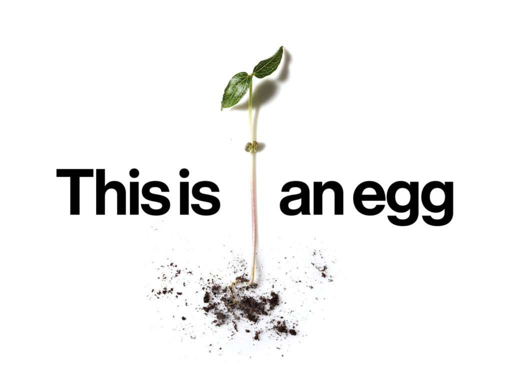 just egg huevo plant-based