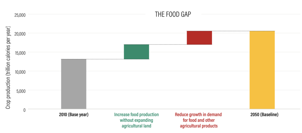 la brecha de alimentos en el mundo