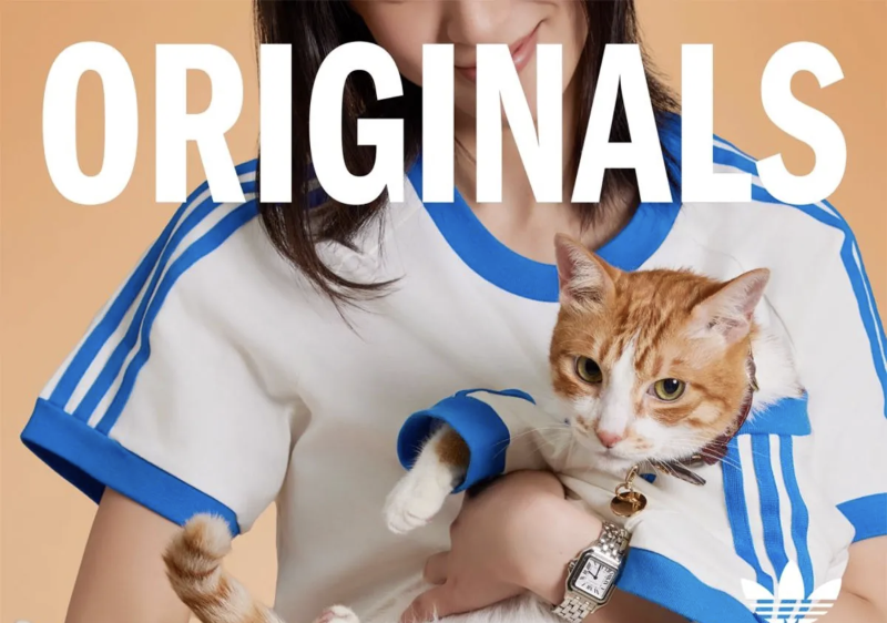 Adidas Originals Pets Collection Cuteness Overload Matching Seeing Double BioRetail Sistema para tiendas de Ropa Consultoría para tiendas de mascotas